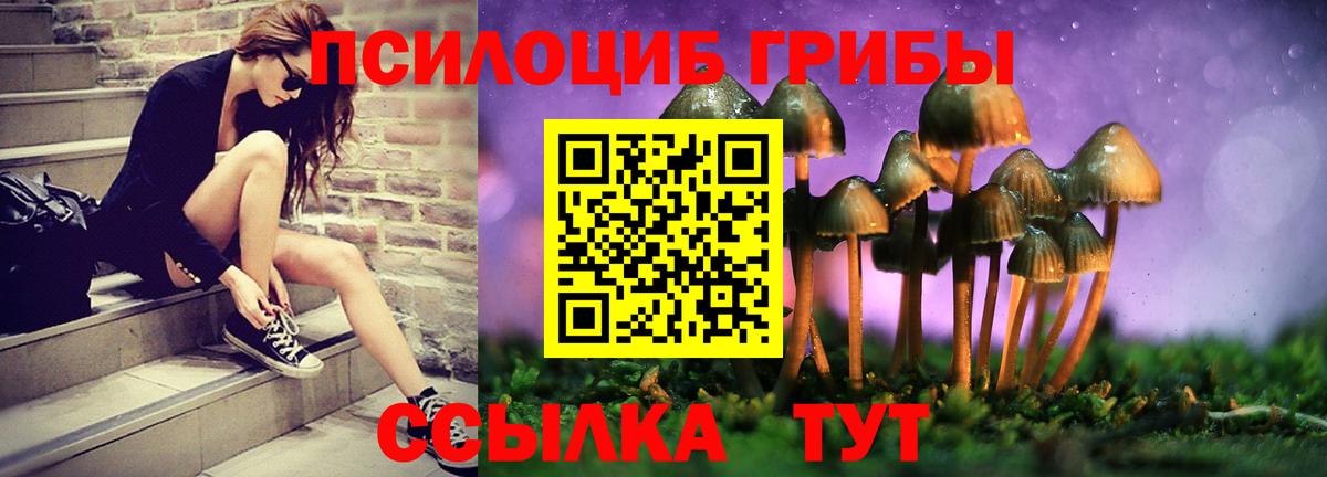 Ликино-Дулёво  Галлюциногенные грибы Magic Shrooms  Вход с VPN 